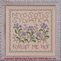 Filigram - Myosotis Sylvatica