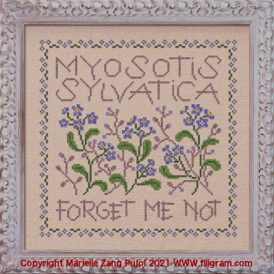 Filigram - Myosotis Sylvatica