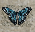 Shannon Christine - Blue Butterfly