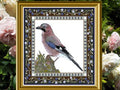 Chatelaine Designs - Bird Tapestries Jaybird