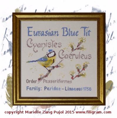 Filigram - Eurasian Blue Tit