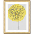 Peacock & Fig - False Dandelion