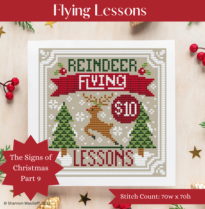Shannon Christine - Signs of Christmas Flying Lessons
