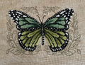Shannon Christine - Green Butterfly