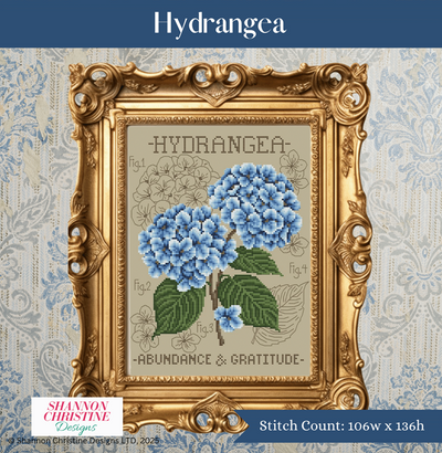 Shannon Christine - Hydrangea