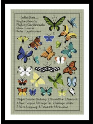 Little Dove - Kaleidoscope Butterfly