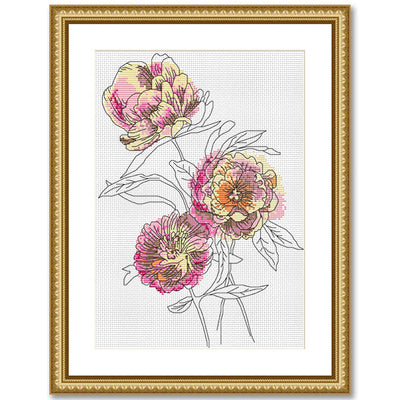Peacock & Fig - Peonies