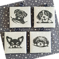 Artmishka - Puppies